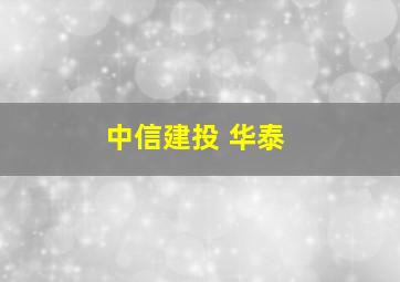 中信建投 华泰